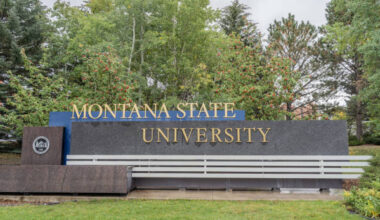 Montana State University International Merit-Based Scholarships 2024-2025, USA