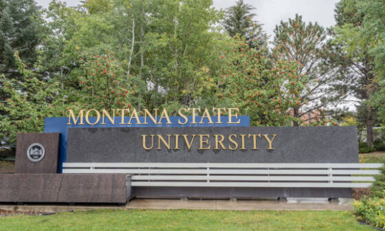 Montana State University International Merit-Based Scholarships 2024-2025, USA